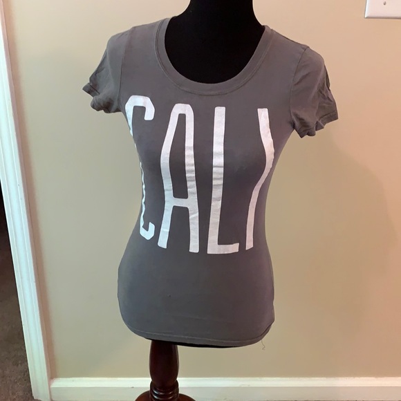 Hollister Tops - Hollister Gray Graphic Tee